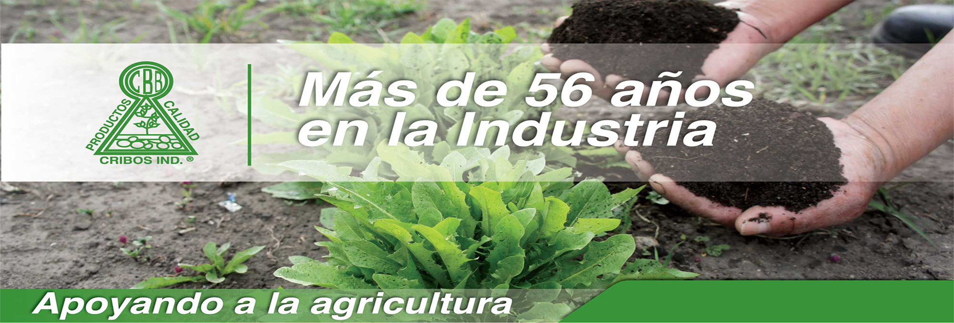 cribos-industrias 56 AÑOS EN LA INDUSTRIA 1920×650