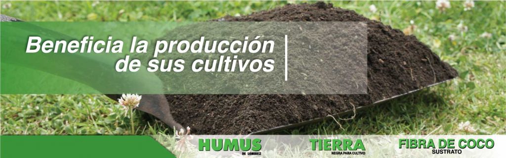 Beneficios-para-cultivo-cribos-1024x320