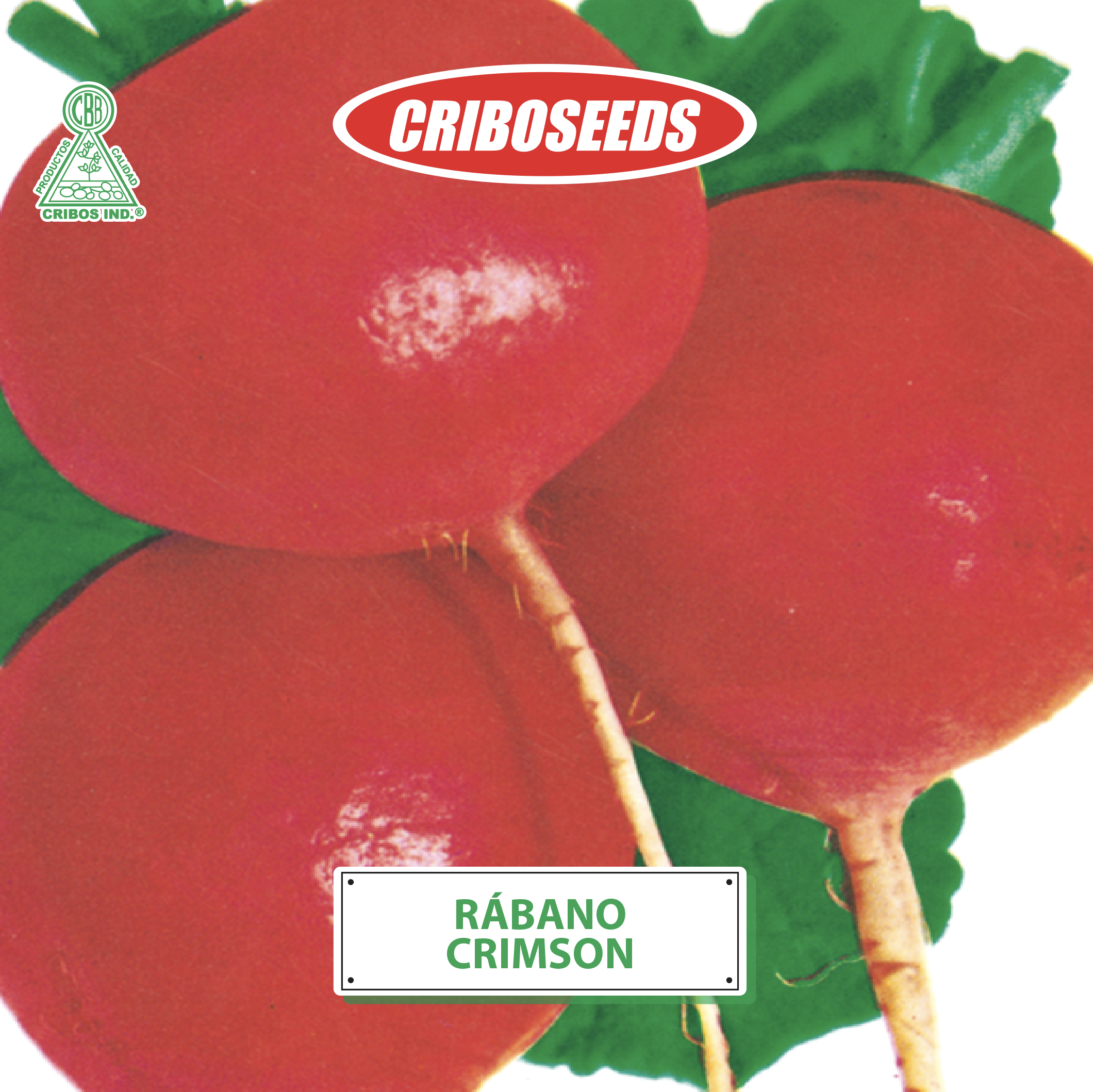 Captura de pantalla 2025-10-17 a la(s) 13.02.30