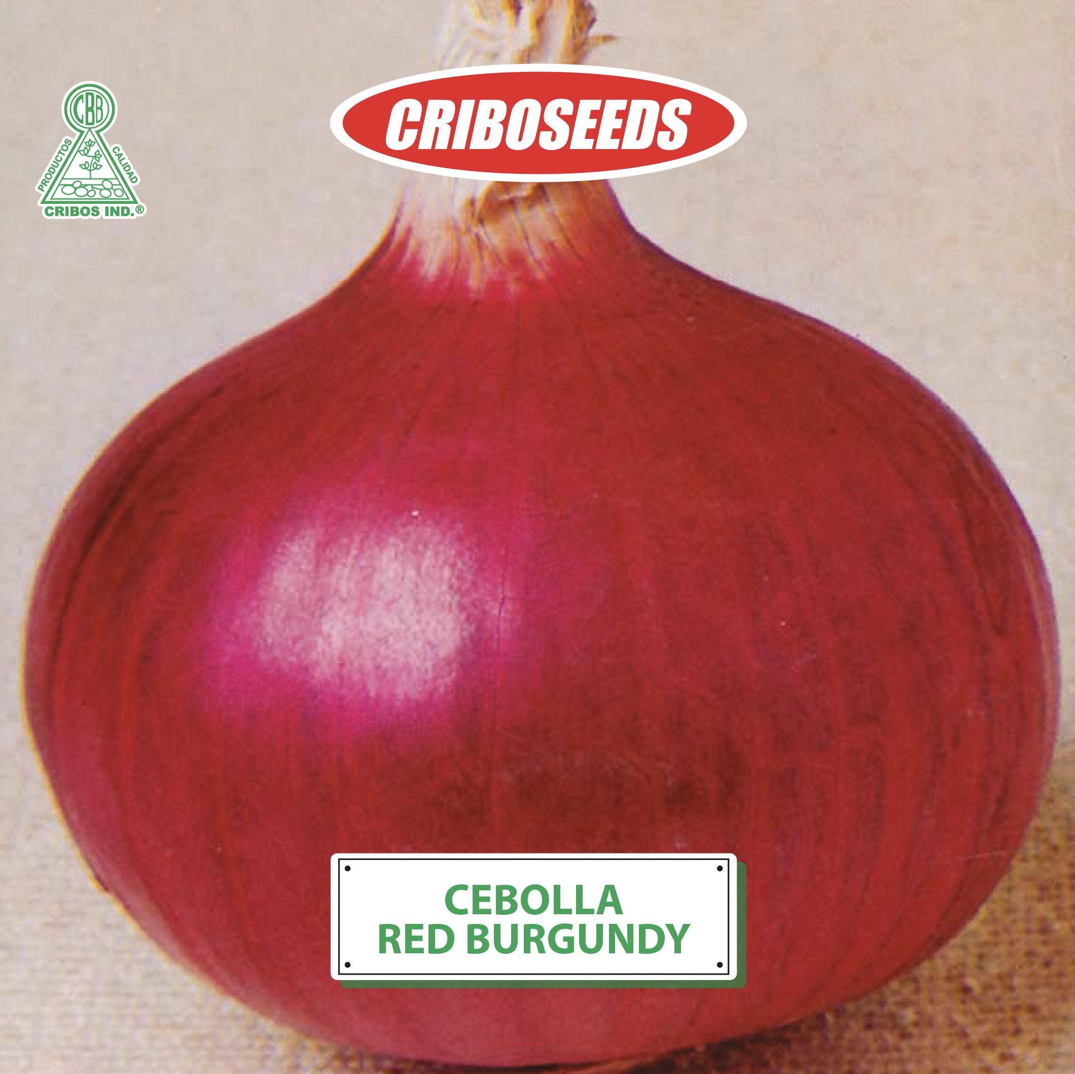 Semillas de Cebolla roja red burgundy criboseeds