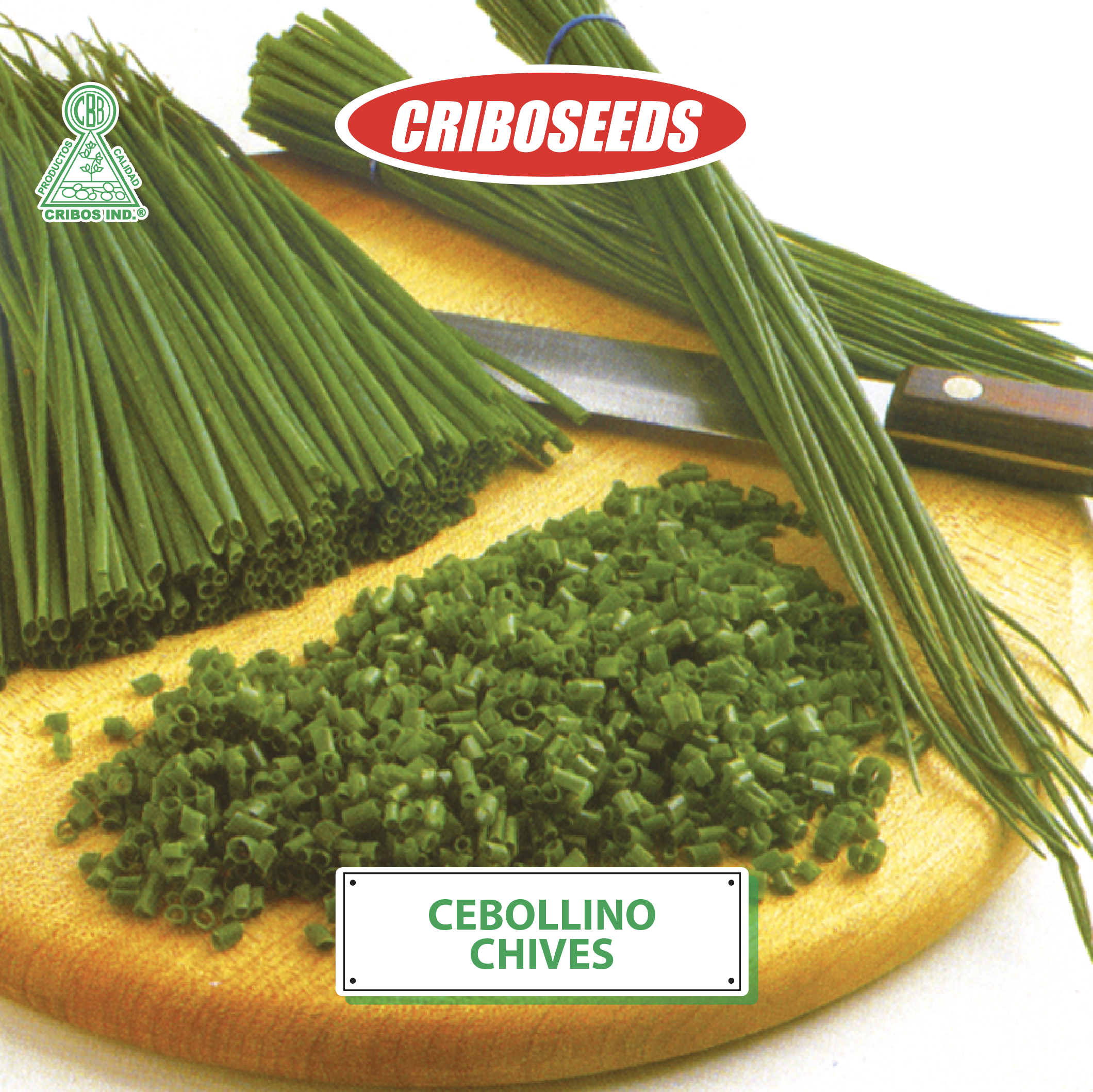 Semillas de Cebollin criboseeds