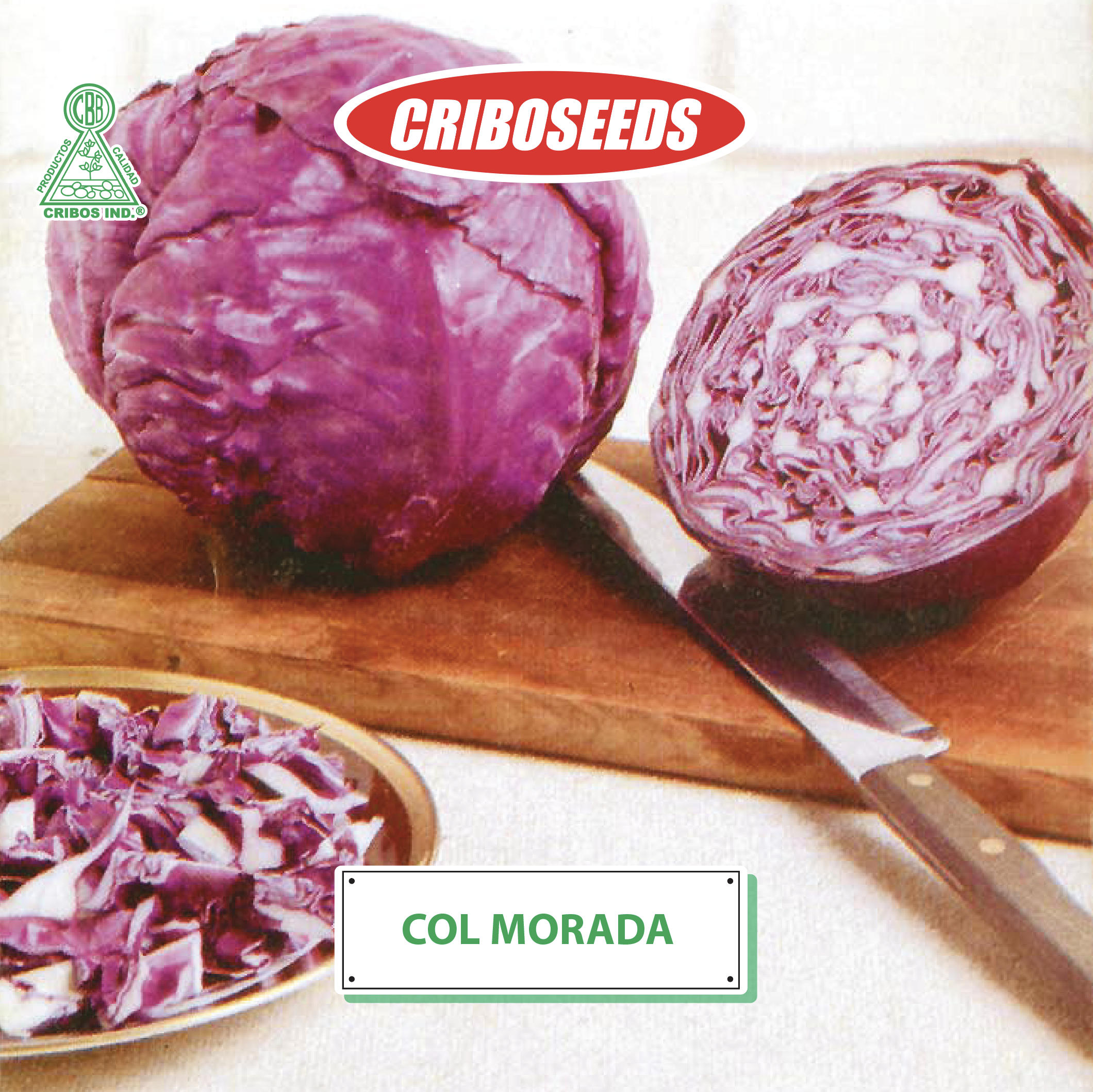 Semillas de col morada Criboseeds