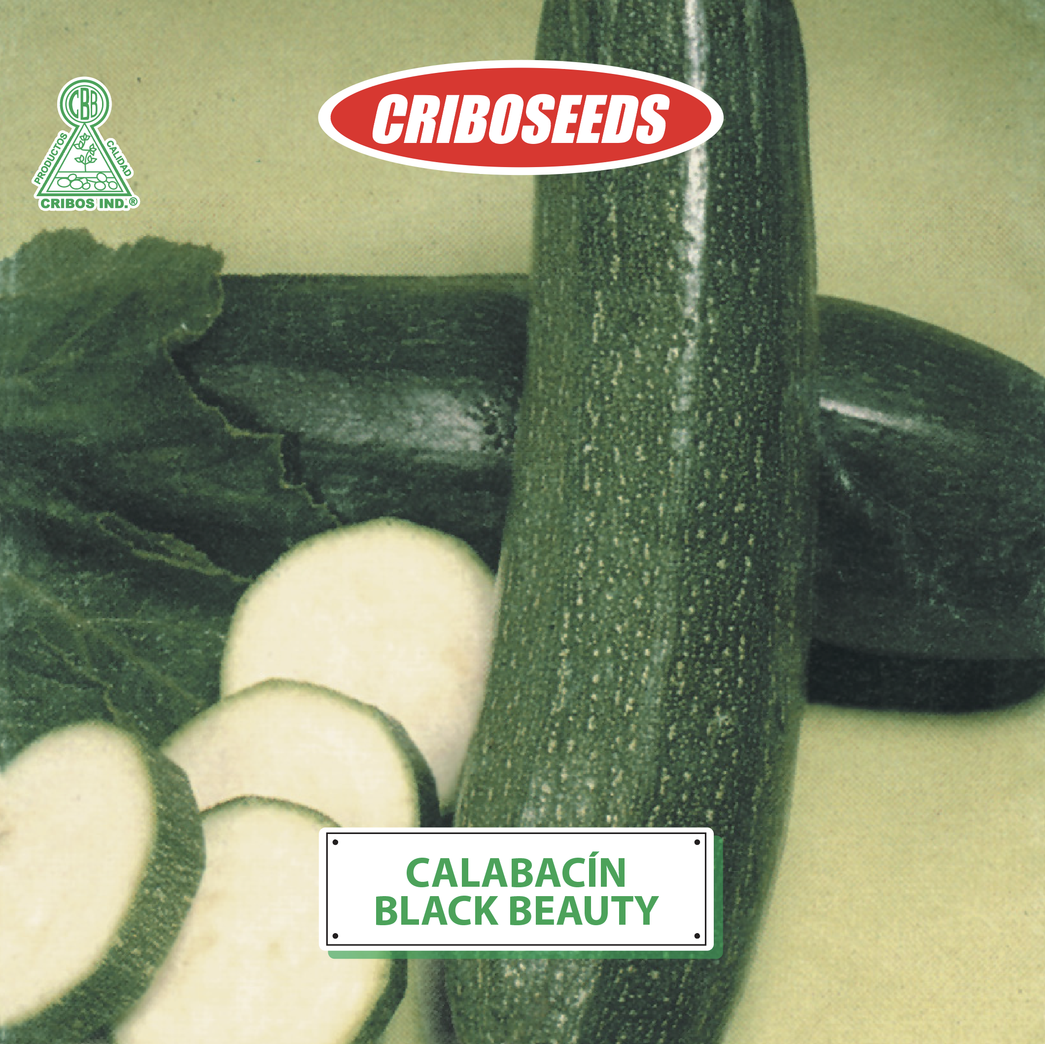 semillas de zuquini calabacin criboseeds