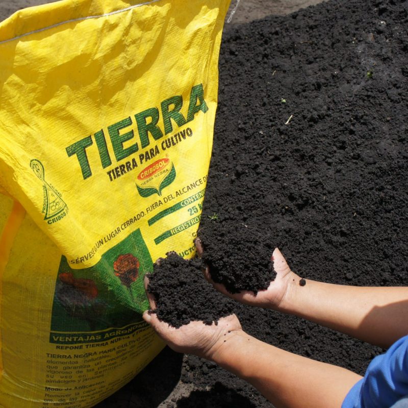 Tierra Negra para cultivo